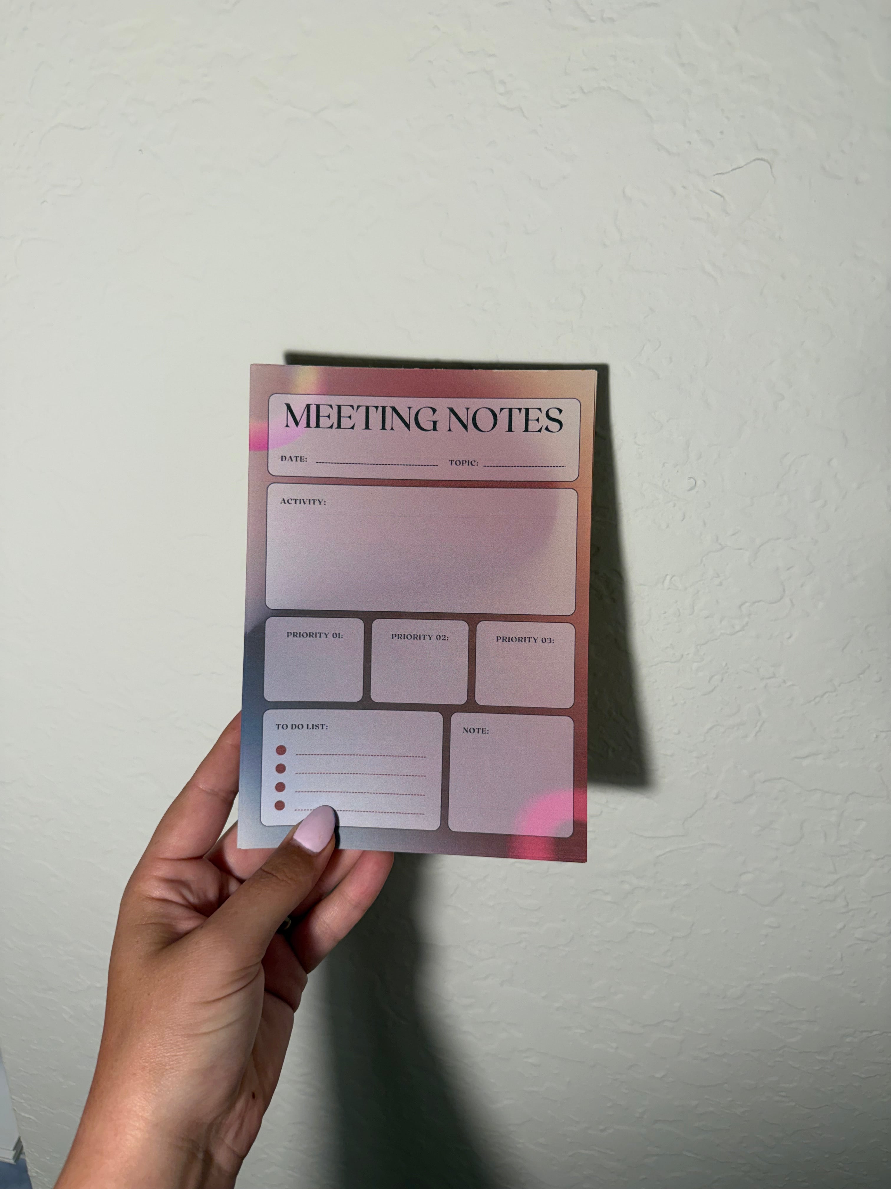 Blush Meeting Notes
